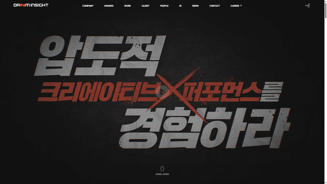 드림인사이트 웹사이트 스크린샷