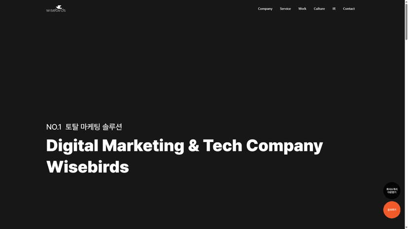 와이즈버즈 웹사이트 스크린샷