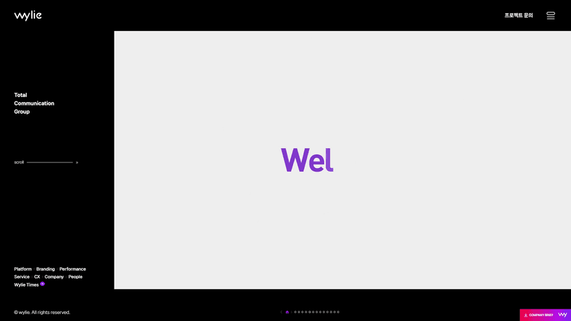 와일리 웹사이트 스크린샷